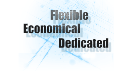 Virtual Private Server (VPS) Virtual Private Server (VPS)